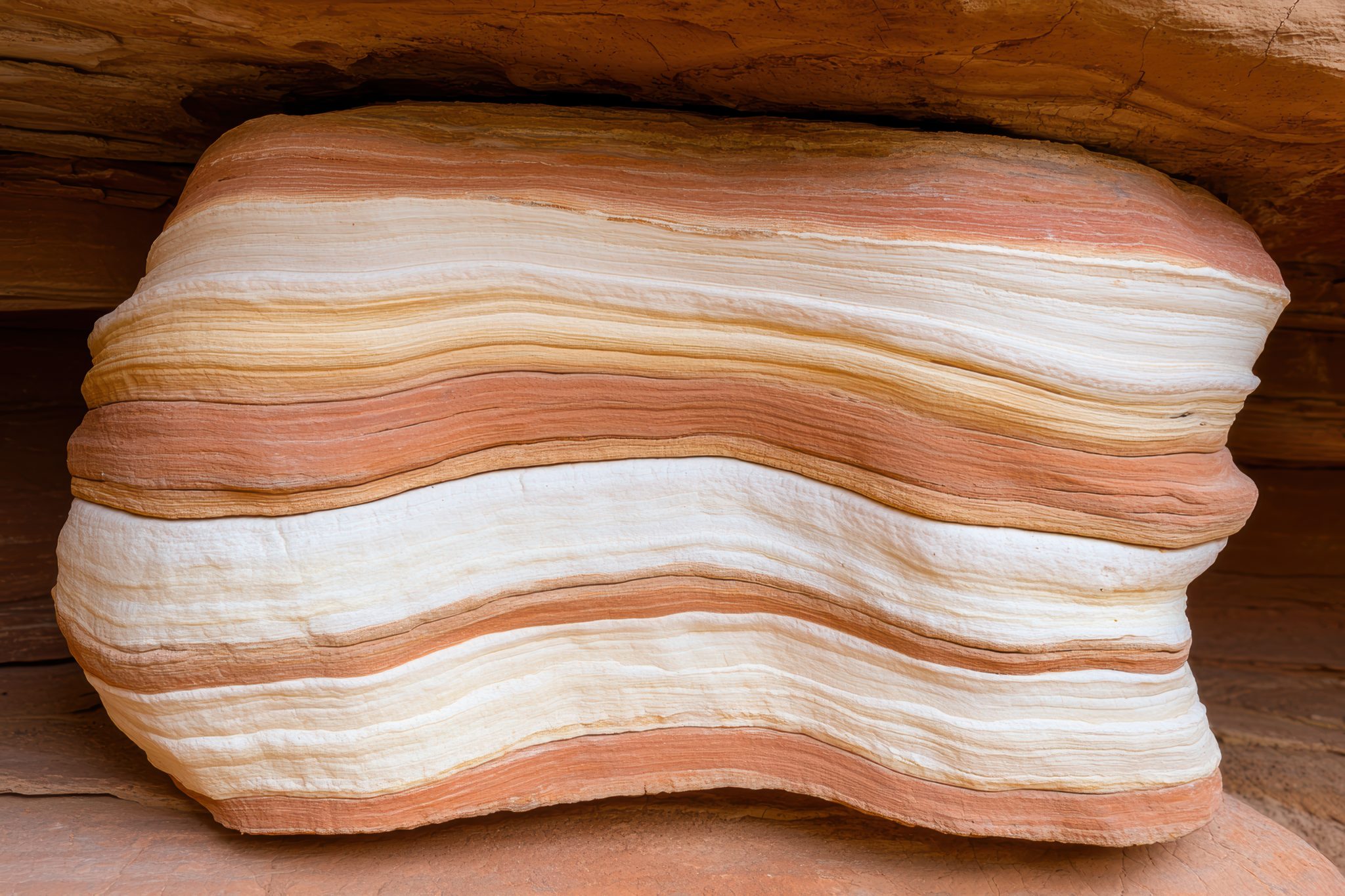 Visceral Fat: The Hidden Fat You Can’t See—But Matters Most
